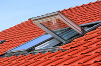 Ewshot roof window